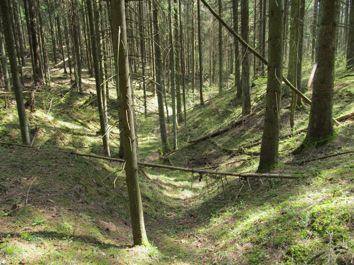 Урочище Климовка, image of landscape/habitat.