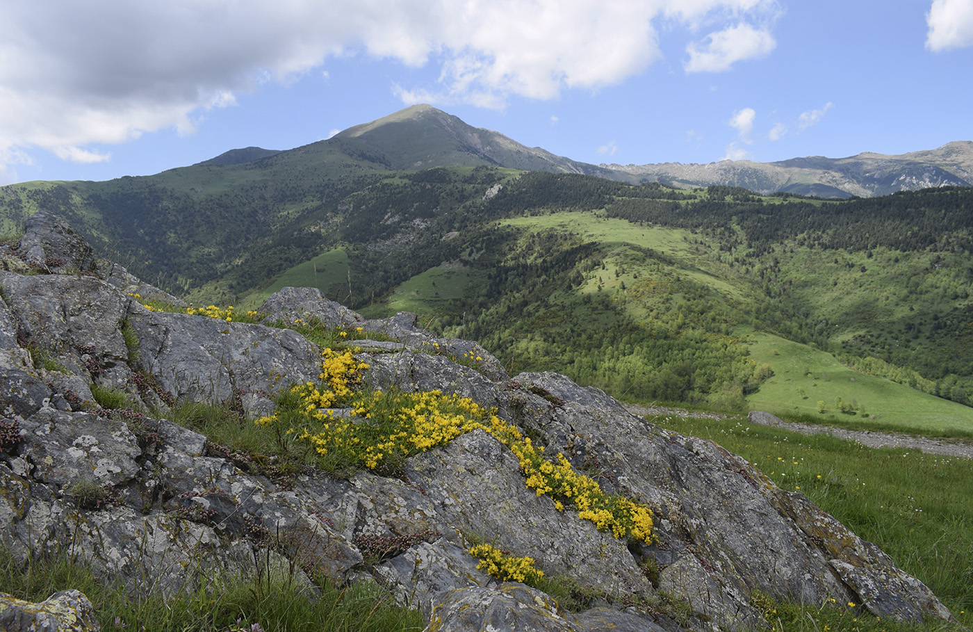 Сеткасес и Эспинабель, image of landscape/habitat.