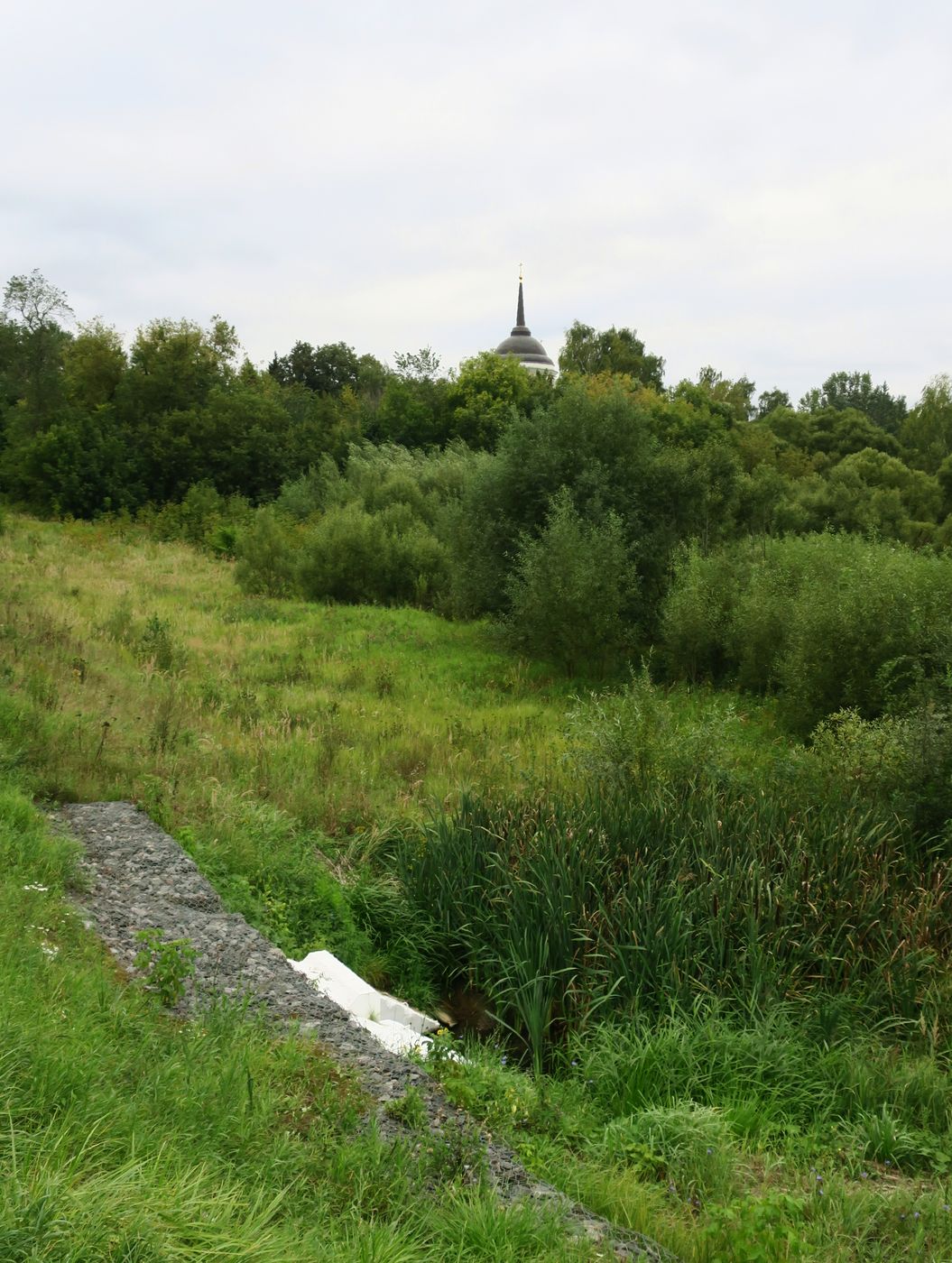 Пехра-Яковлевское, image of landscape/habitat.