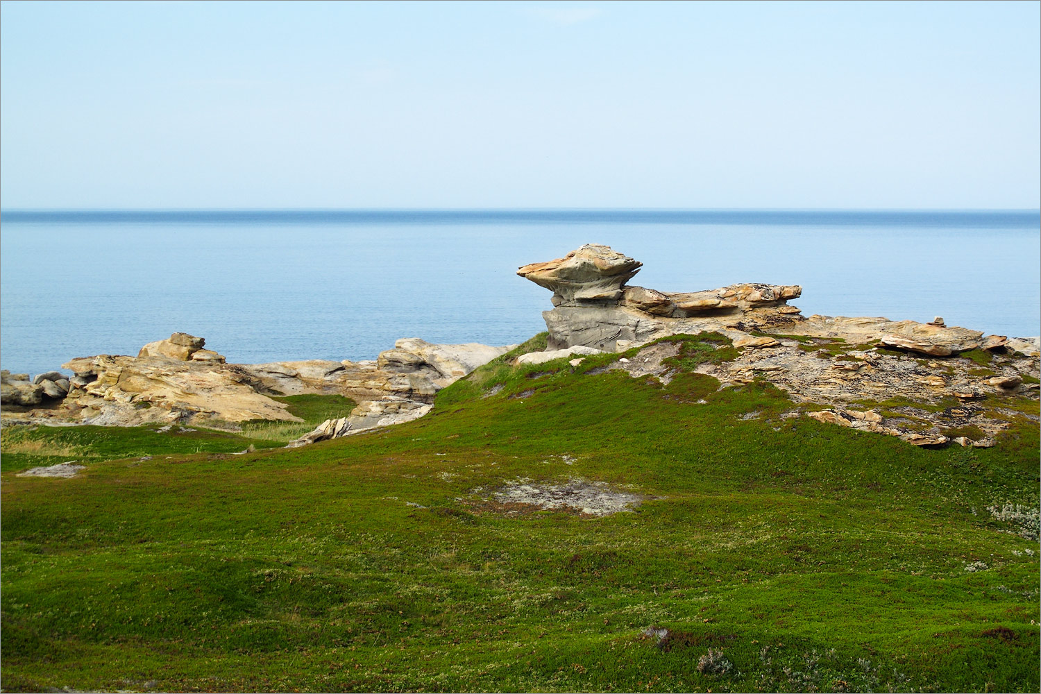 Мыс Земляной, image of landscape/habitat.