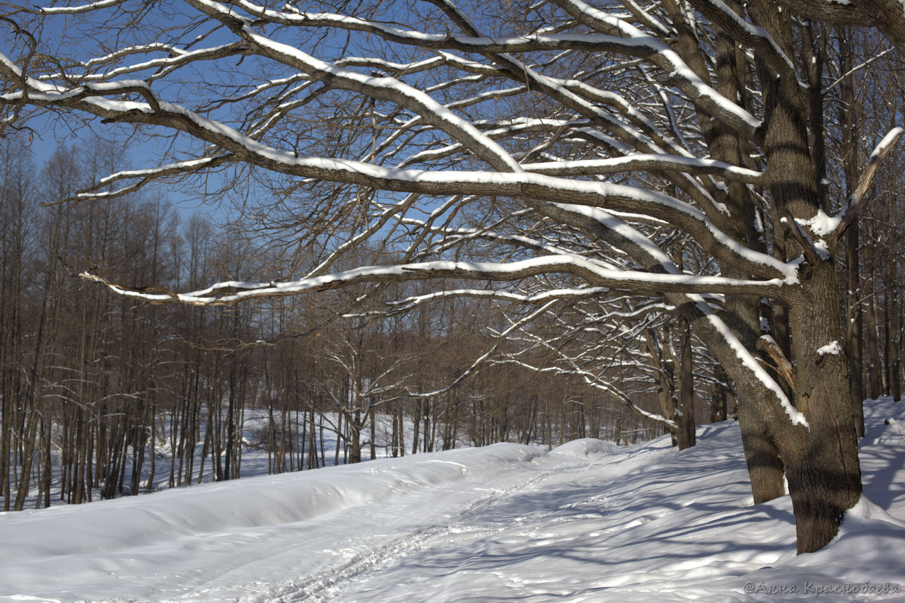 Дубна и окрестности, image of landscape/habitat.