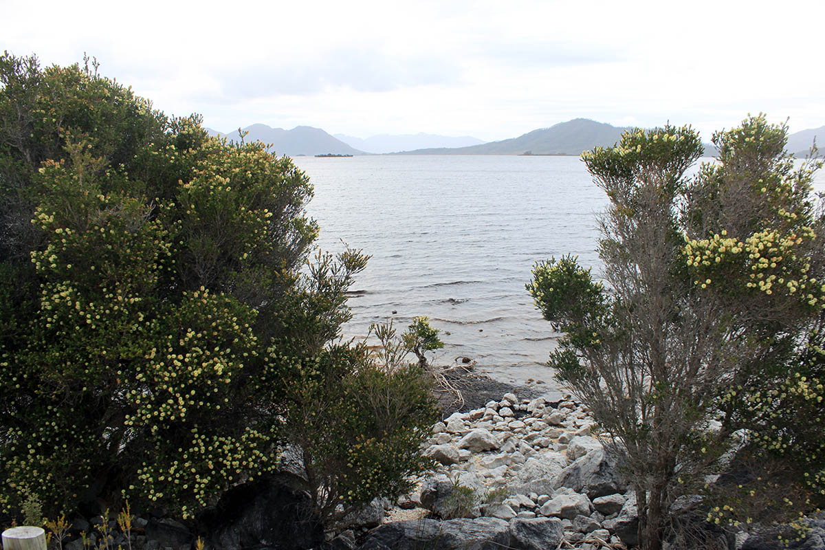 Юго-Западный парк, image of landscape/habitat.