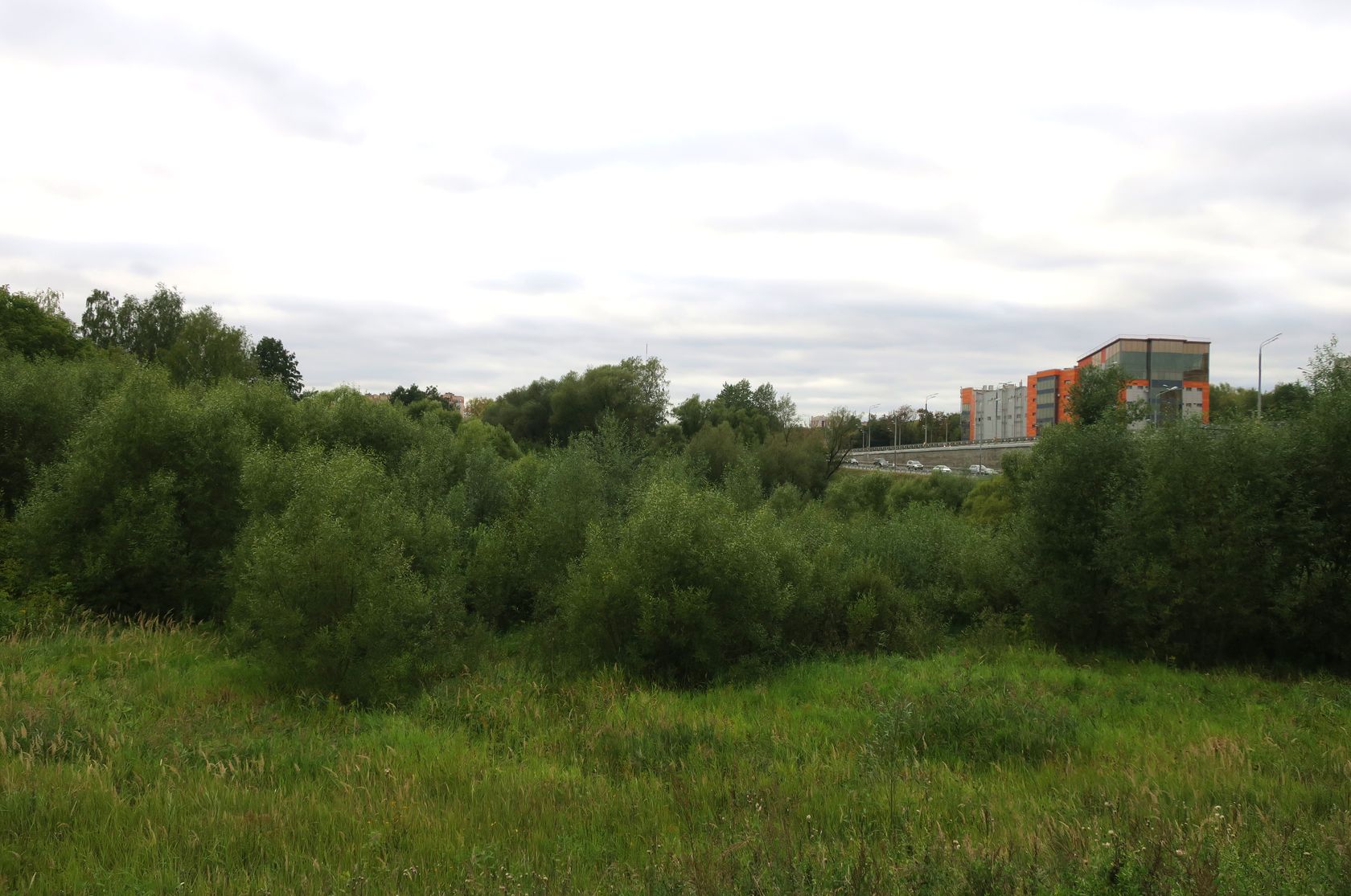 Пехра-Яковлевское, image of landscape/habitat.