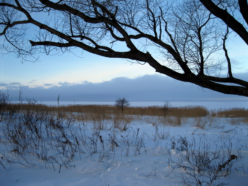 Парк "Александрия", image of landscape/habitat.