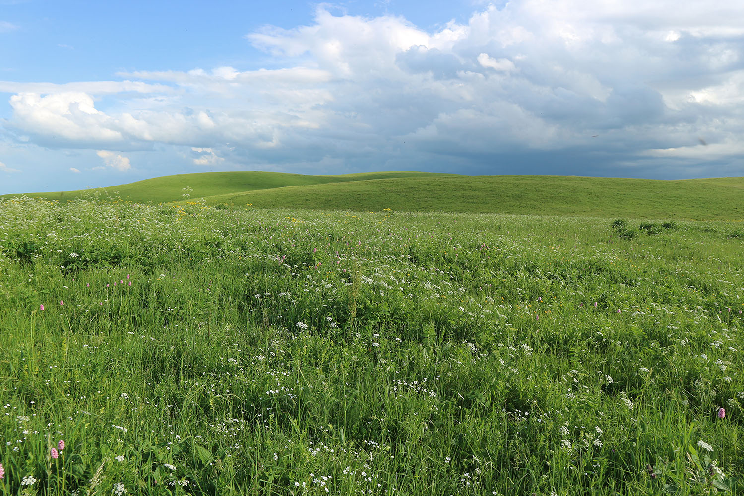 Джисса, image of landscape/habitat.