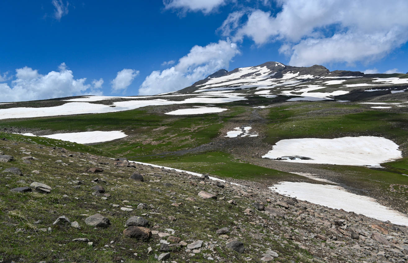 Озеро Кари, image of landscape/habitat.