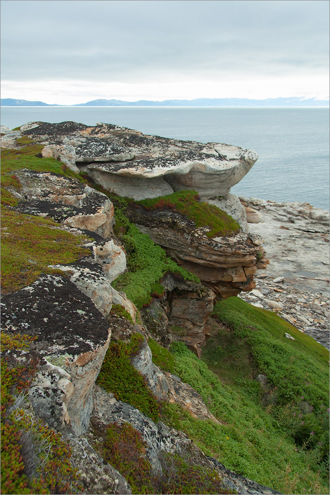 Мыс Земляной, image of landscape/habitat.