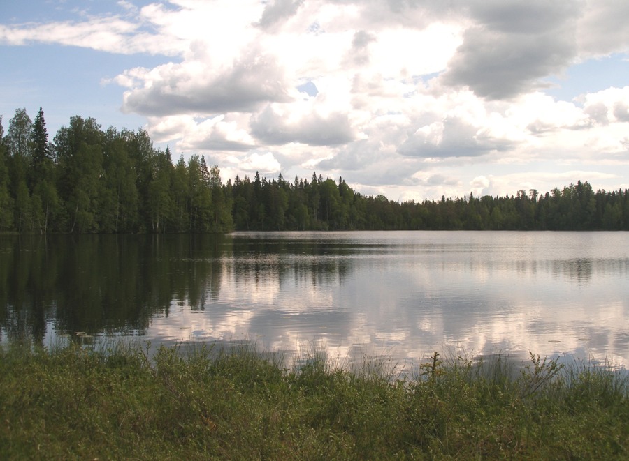 Атлека, image of landscape/habitat.