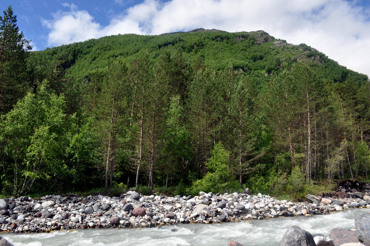 Восточный склон горы Чегет, image of landscape/habitat.