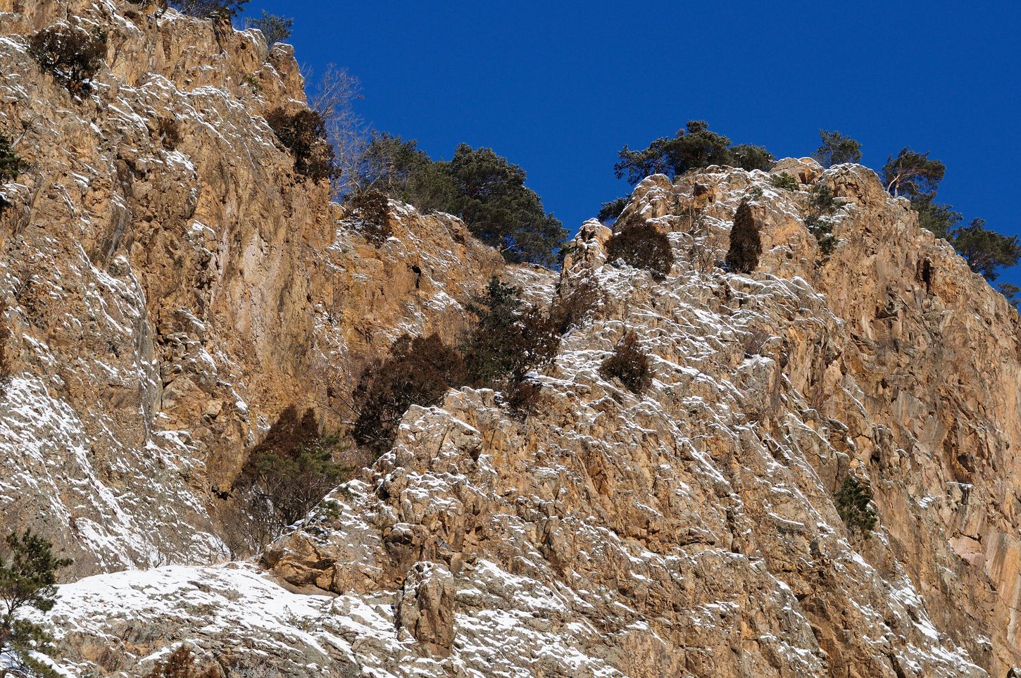 Верхнее течение реки Арсеньевка, image of landscape/habitat.