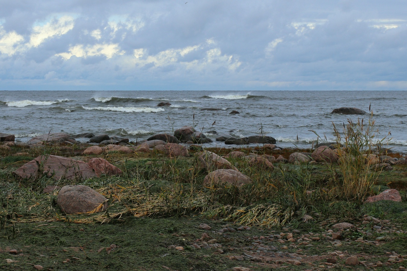 Каравалдай, image of landscape/habitat.