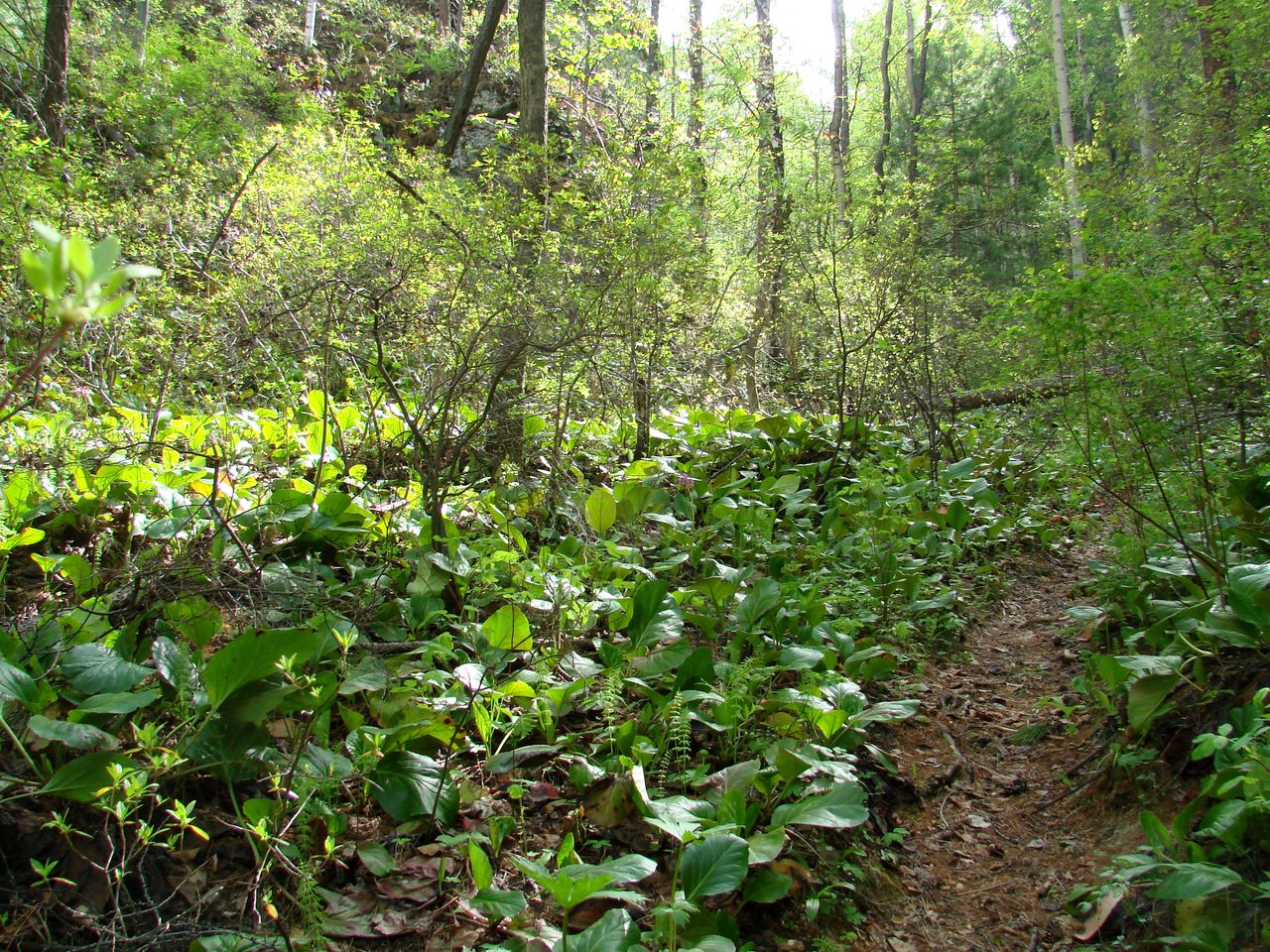 Сухое озеро, image of landscape/habitat.