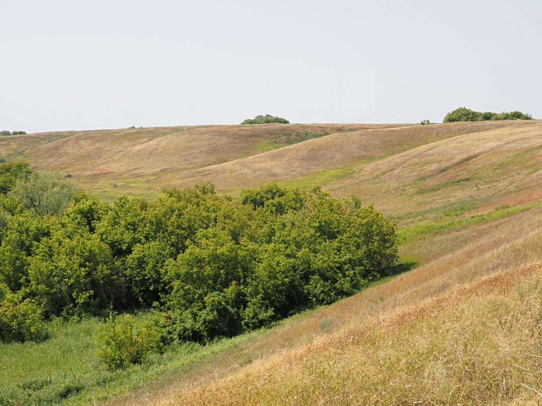 Долина реки Бирля и окрестности, image of landscape/habitat.