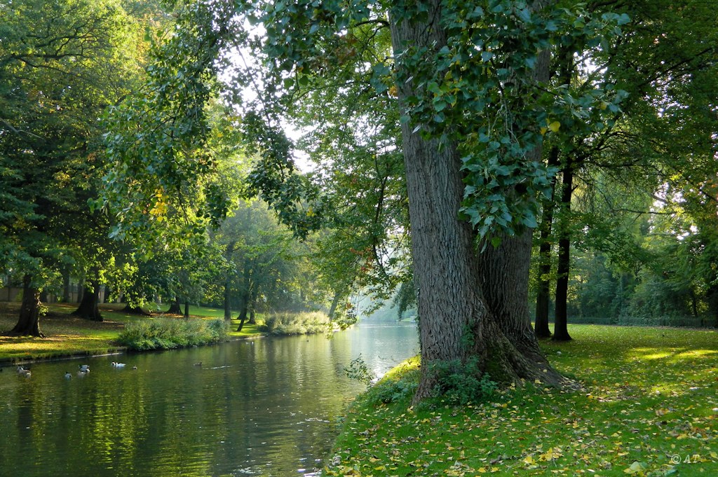 Брюгге, image of landscape/habitat.