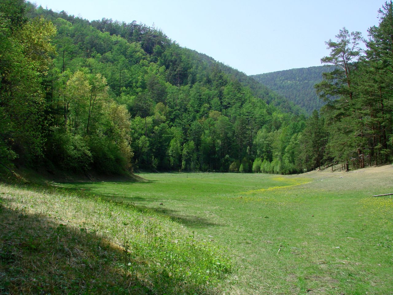 Сухое озеро, image of landscape/habitat.