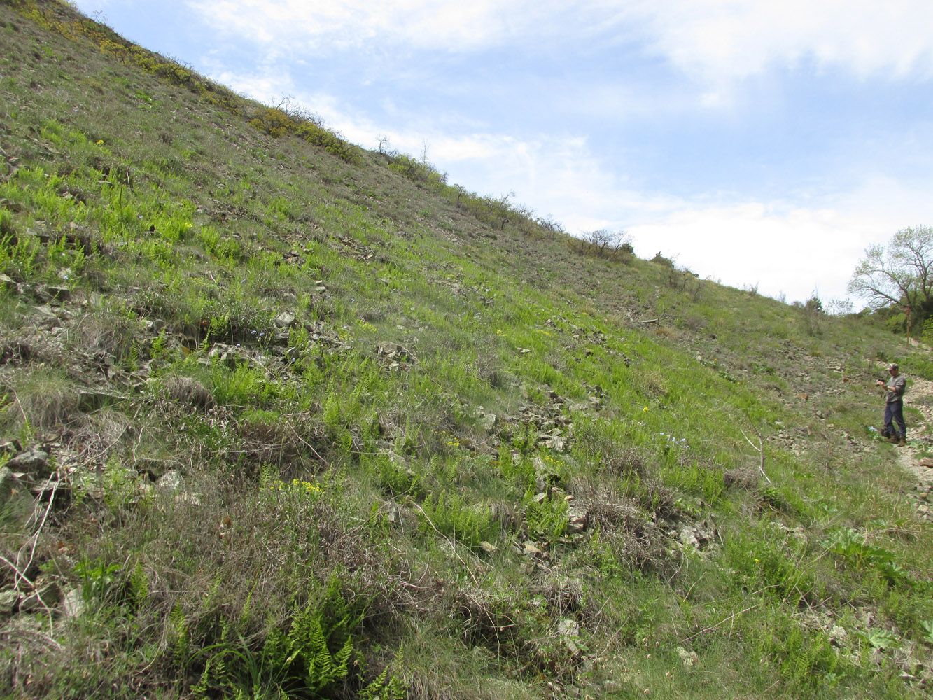 Заповедник "Утриш", image of landscape/habitat.