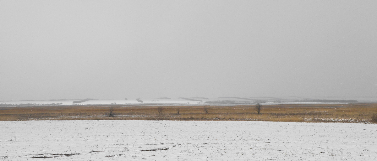 Пойма реки Ея, image of landscape/habitat.