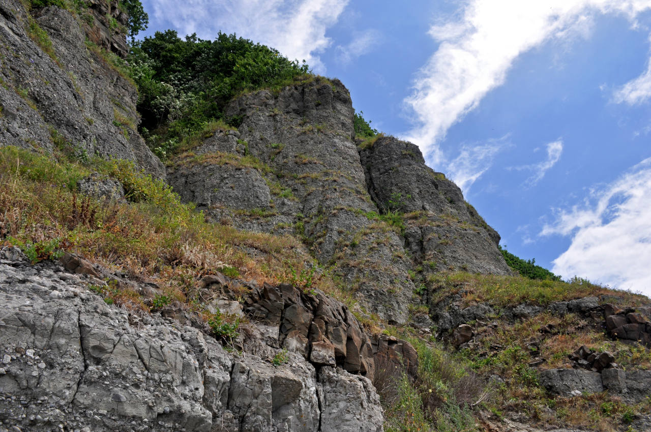 Бухта Круглая, image of landscape/habitat.