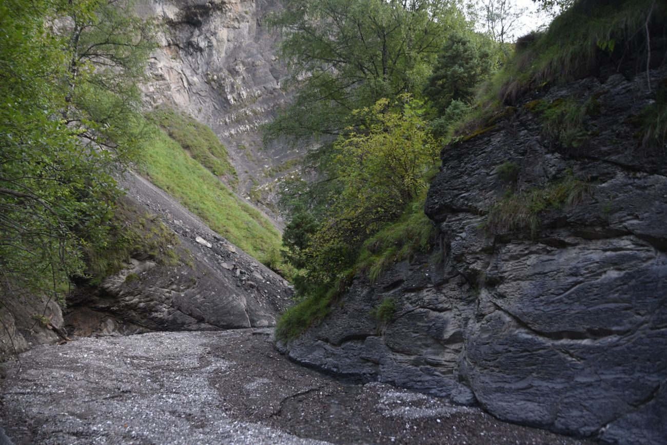 Левый приток реки Цесиахк, image of landscape/habitat.