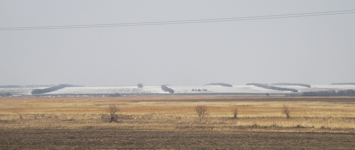 Пойма реки Ея, image of landscape/habitat.