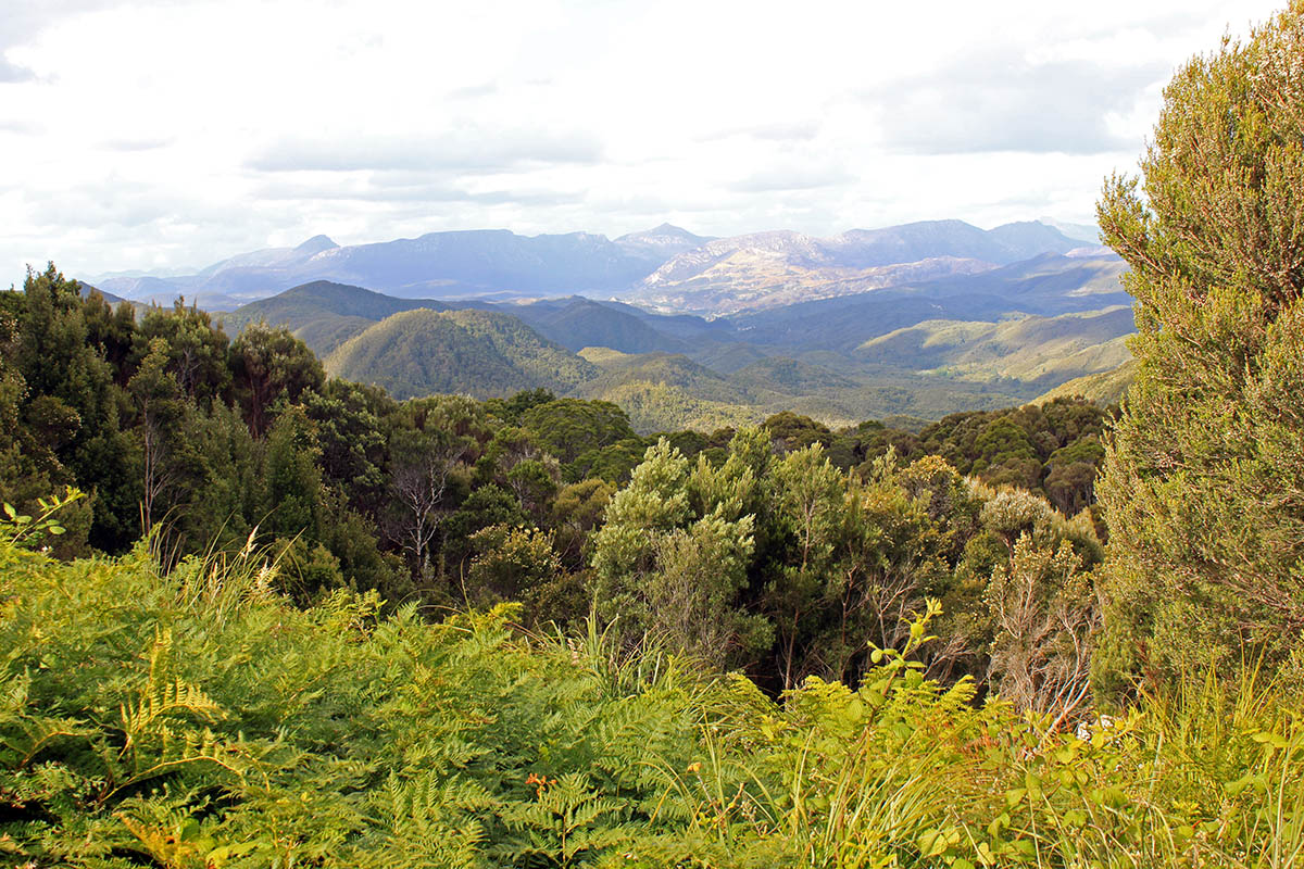 Юго-Западный парк, image of landscape/habitat.