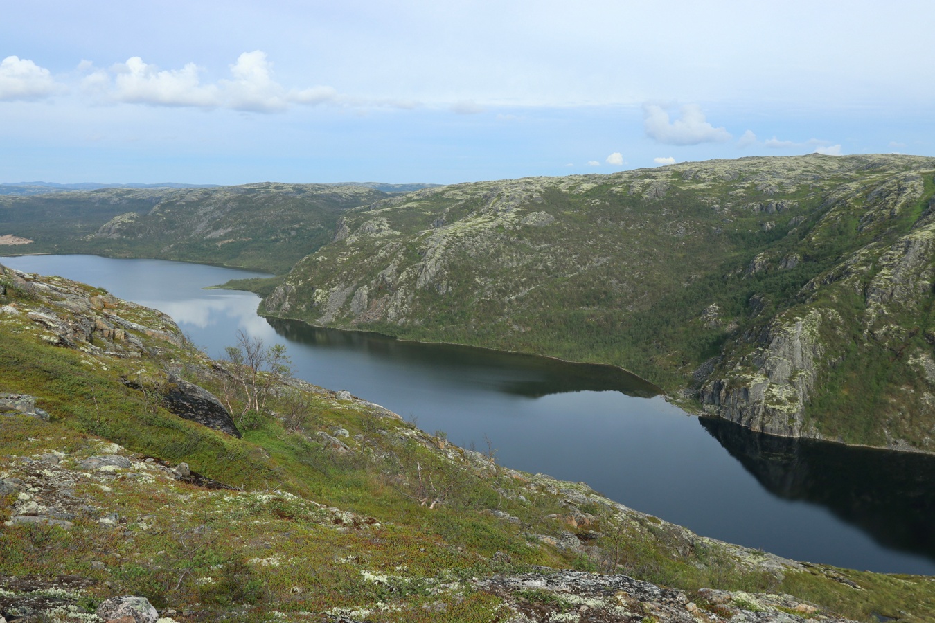 Дикое озеро, image of landscape/habitat.