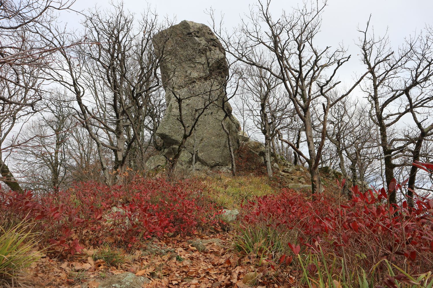 Гора Индюк, image of landscape/habitat.