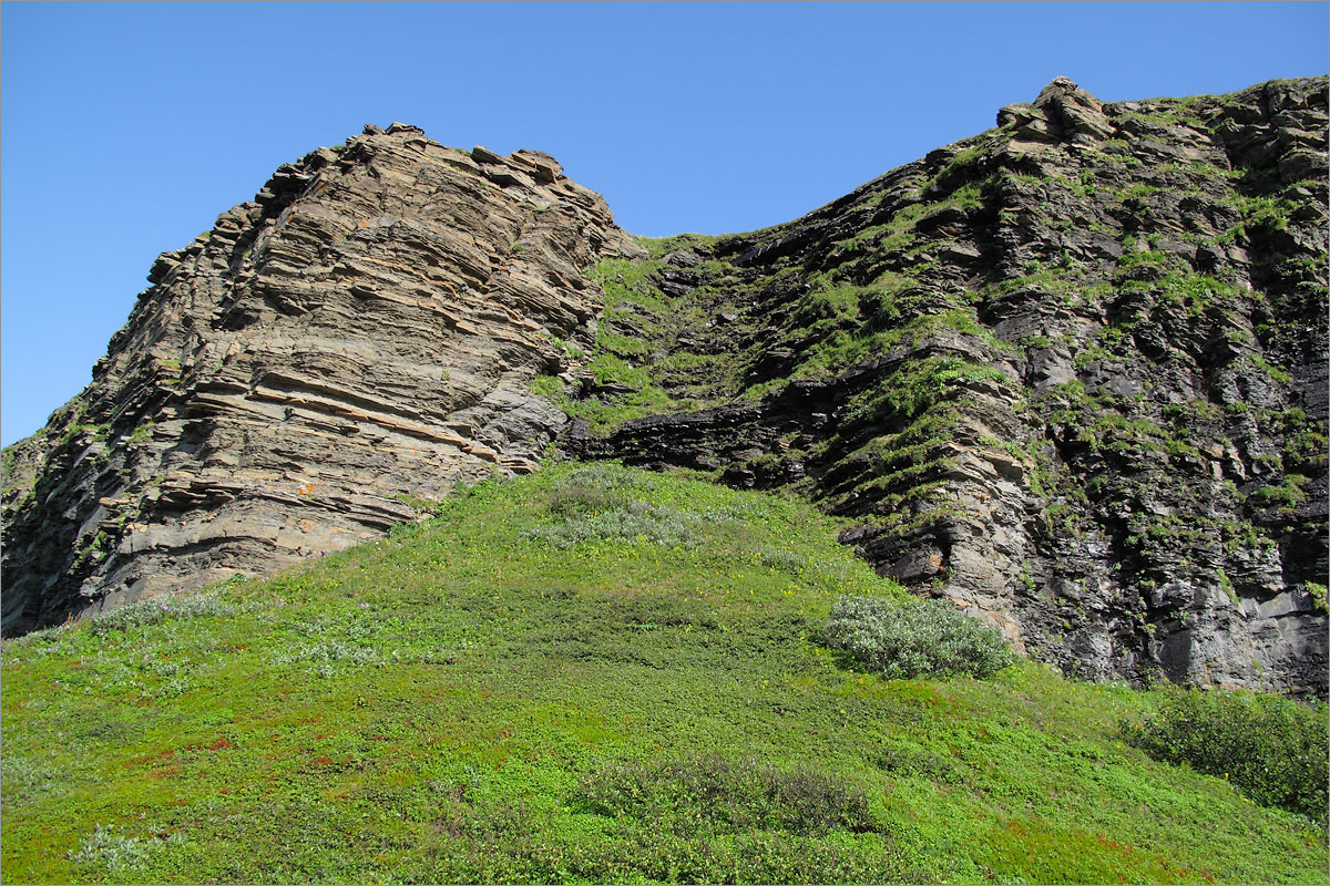 Мыс Земляной, image of landscape/habitat.