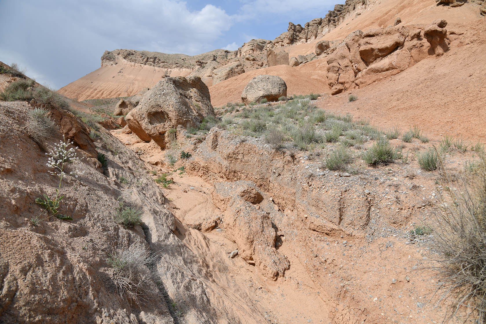 Исфара, image of landscape/habitat.