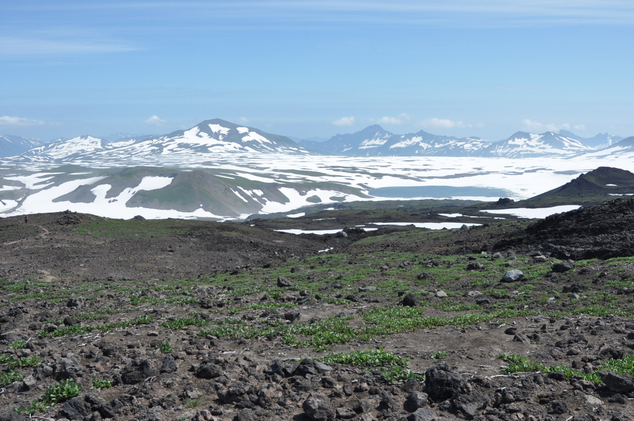 Вулкан Горелый, image of landscape/habitat.