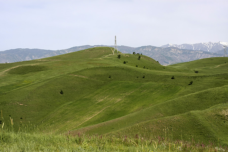 Северные холмы, изображение ландшафта.