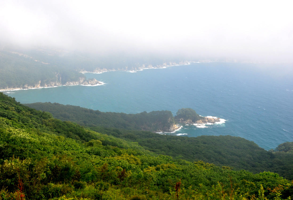 Окрестности мыса Гамова, image of landscape/habitat.