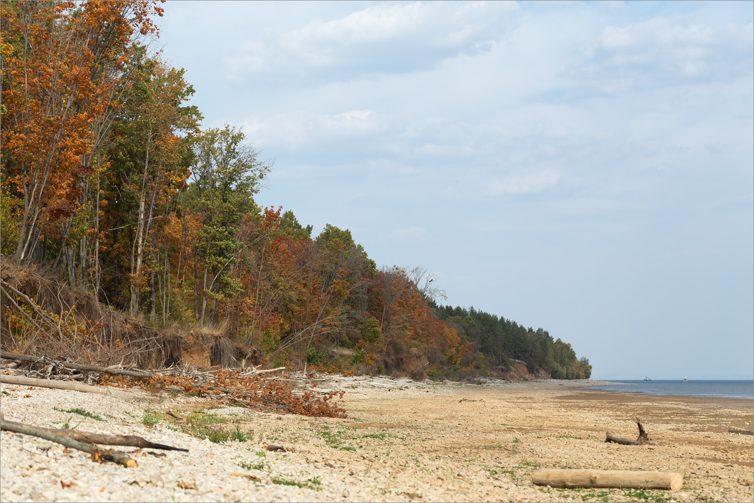 Камское Устье, image of landscape/habitat.