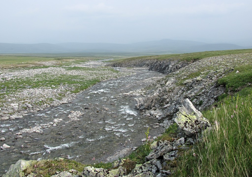 Верховья Большой Пайпудыны, изображение ландшафта.