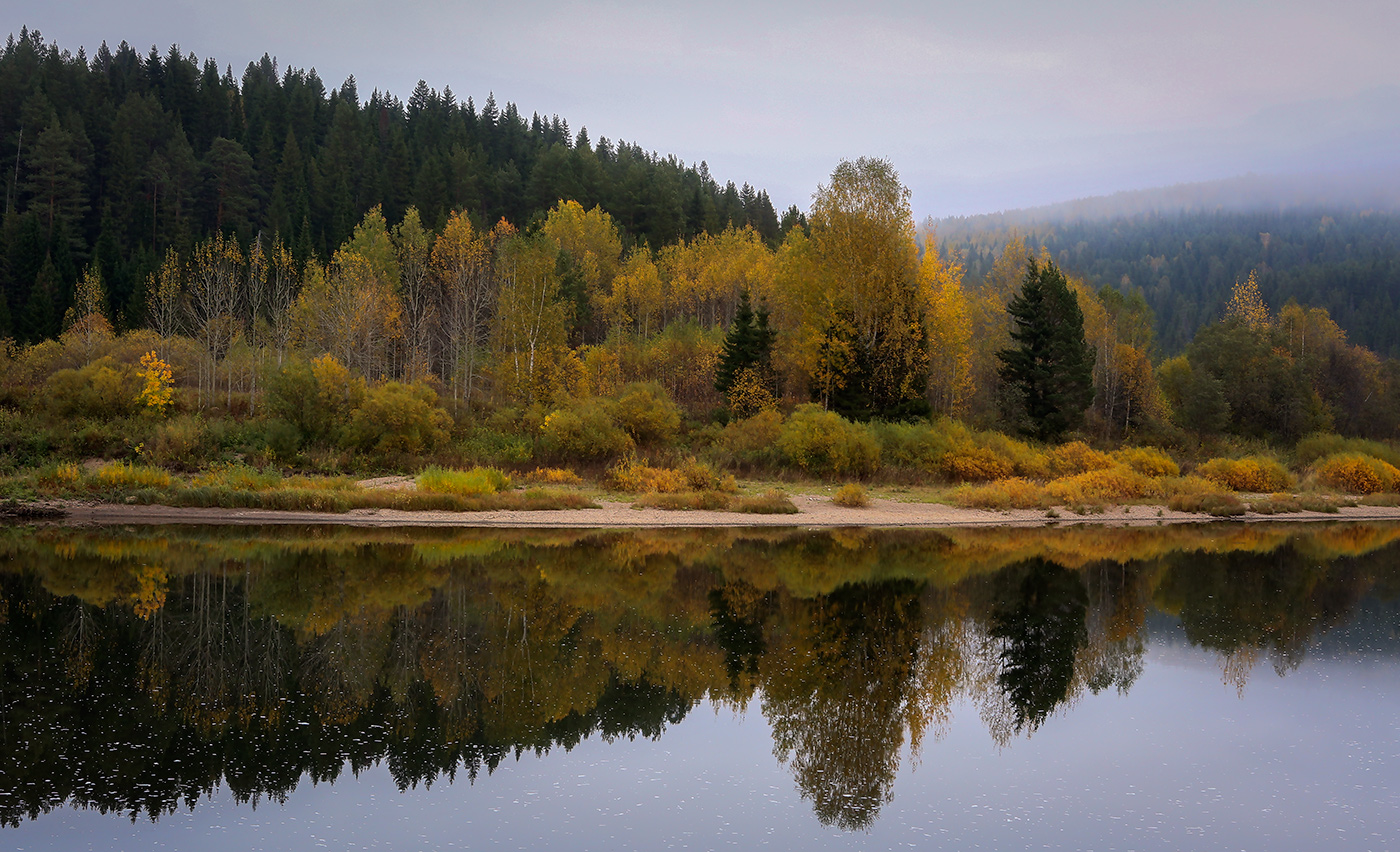 Кын и его окрестности, image of landscape/habitat.