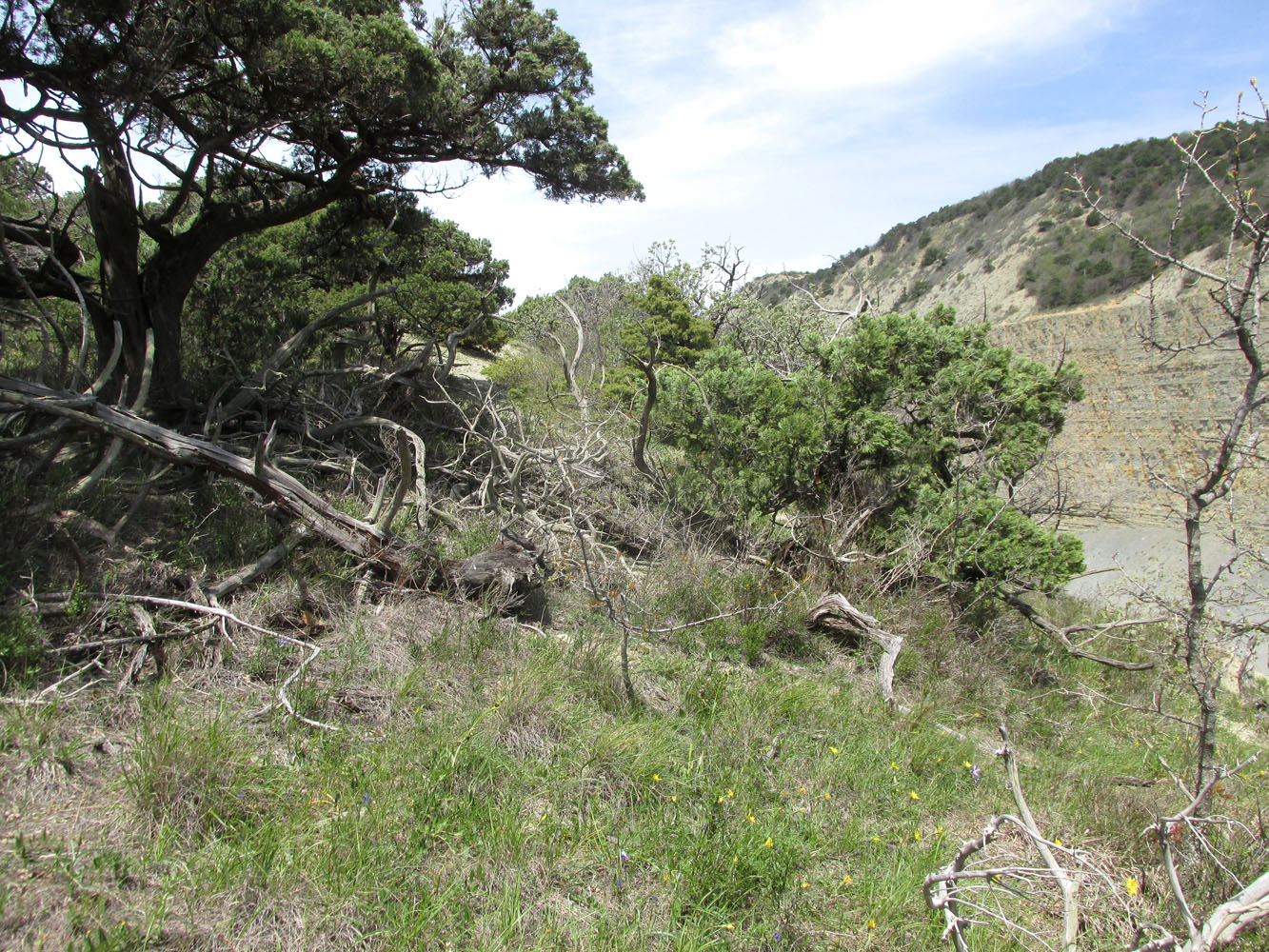 Заповедник "Утриш", image of landscape/habitat.