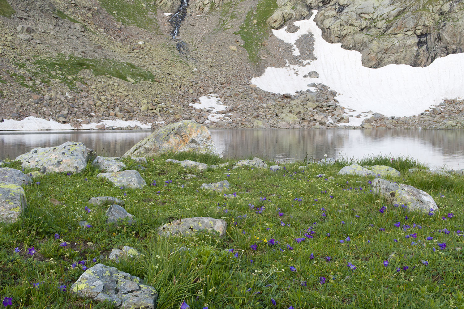 Озеро Географов, image of landscape/habitat.