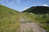 Юго-восточный склон Чархунышкорт, image of landscape/habitat.