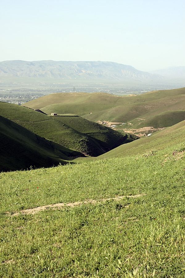 Северные холмы, image of landscape/habitat.