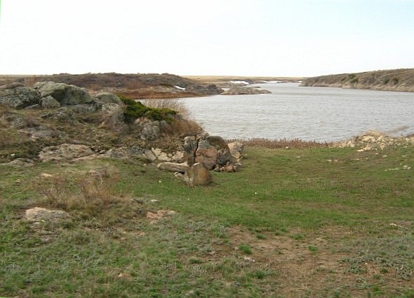 Денисовка, image of landscape/habitat.