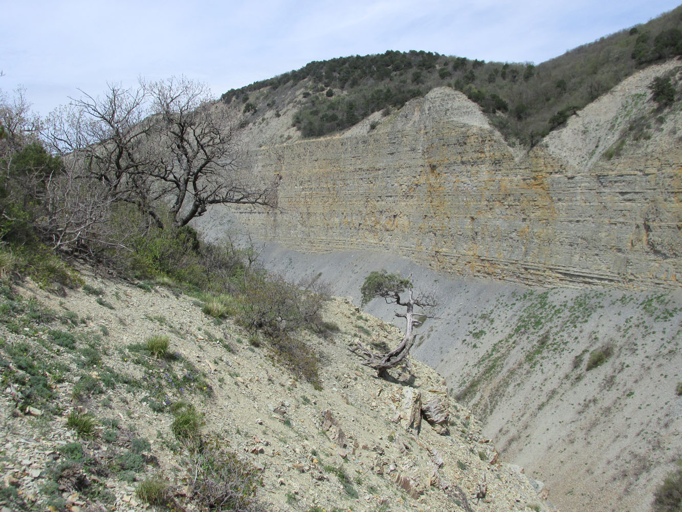 Заповедник "Утриш", image of landscape/habitat.