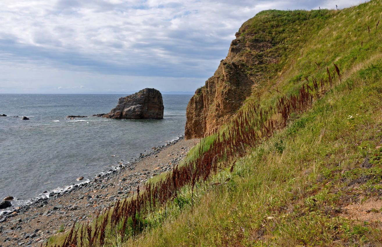 Бухта Круглая, image of landscape/habitat.