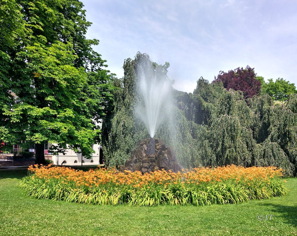 Баден-Баден и окрестности, image of landscape/habitat.