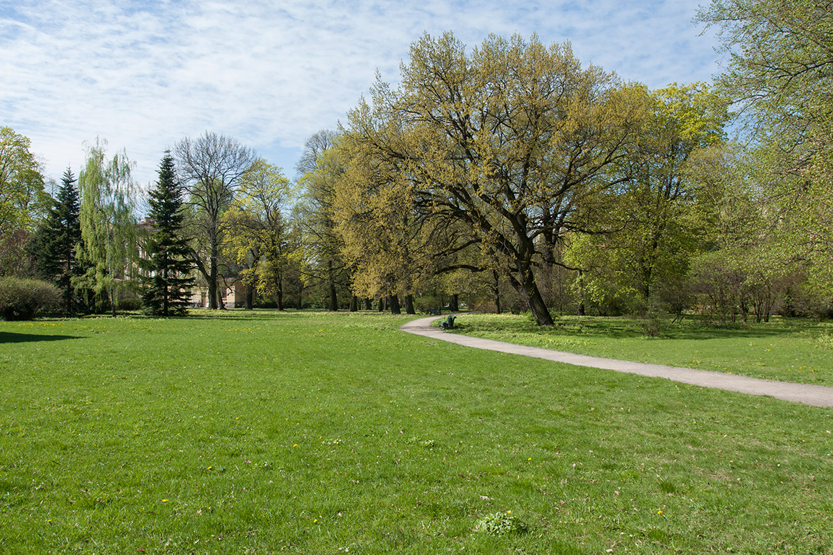 Парк Ботанического института РАН, image of landscape/habitat.