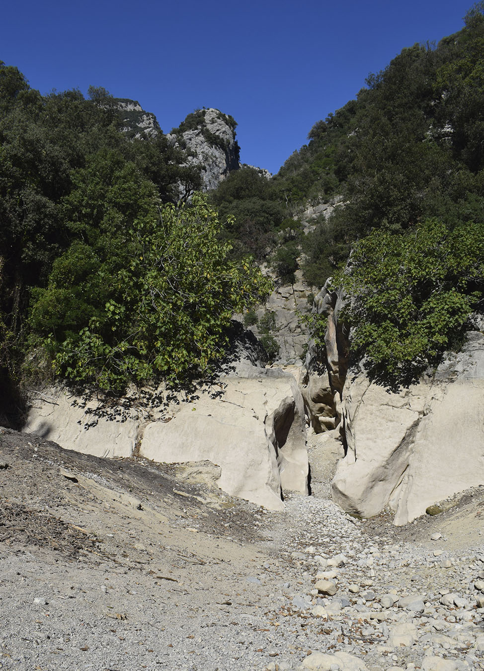 Каньоны рек Льерка и Сант-Аниоль, image of landscape/habitat.