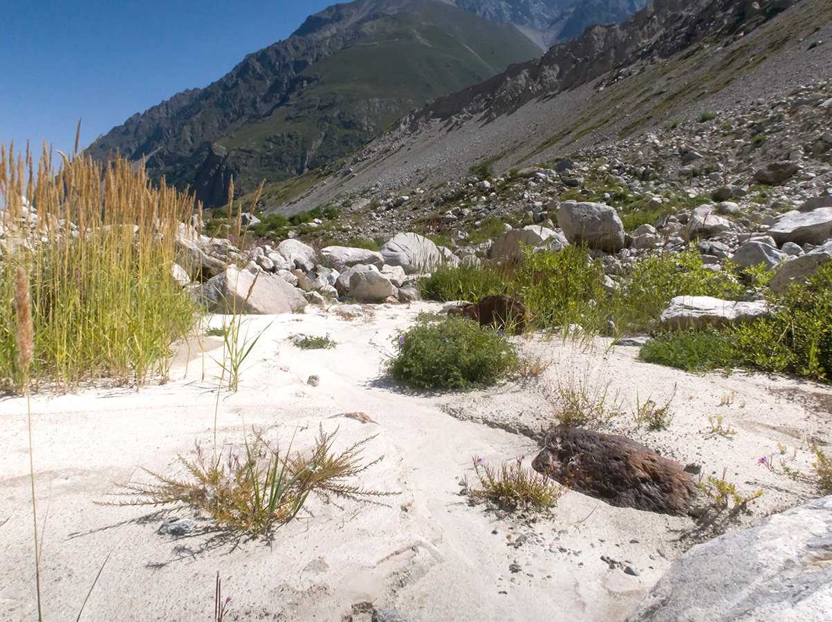 Черек-Безенгийское ущелье, image of landscape/habitat.