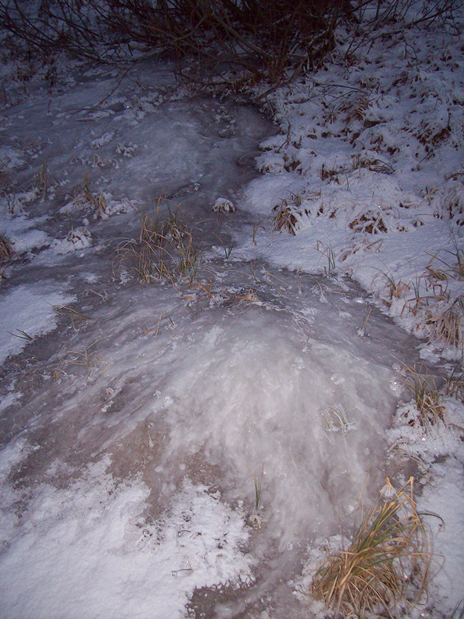 Пруд Расторог, image of landscape/habitat.