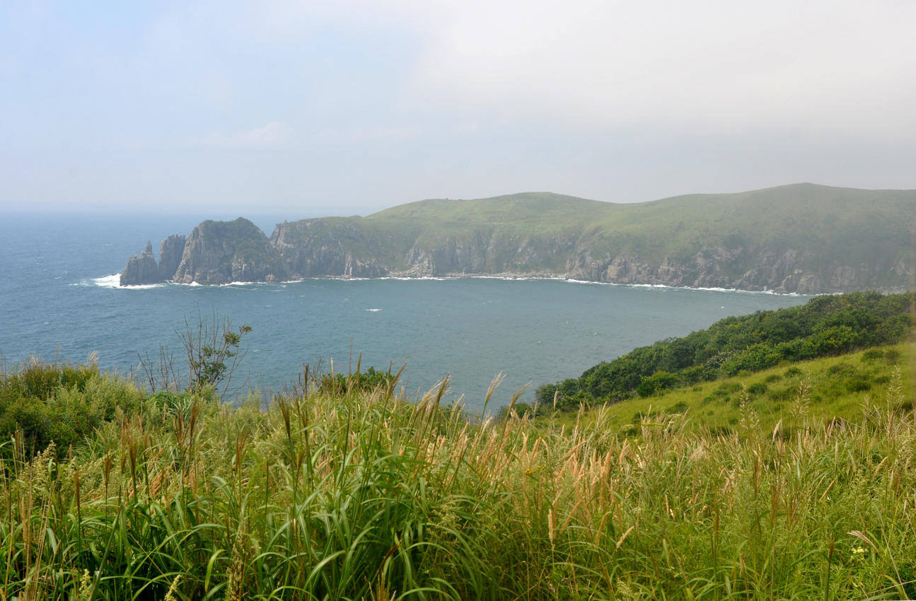 Окрестности мыса Гамова, image of landscape/habitat.