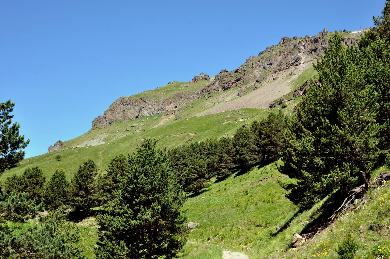 Пик Терскол, image of landscape/habitat.