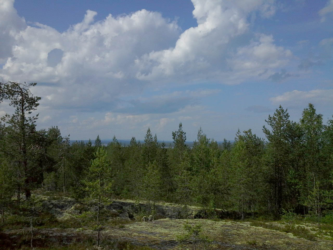 Беломорская Биостанция МГУ, image of landscape/habitat.